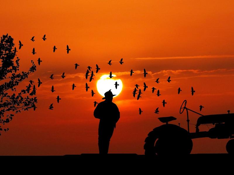 Agriculteurs
