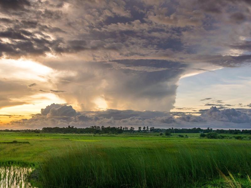 Patrimoine & Environnement