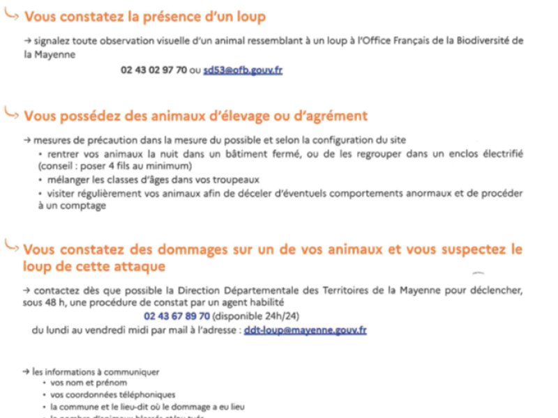 présence de loup