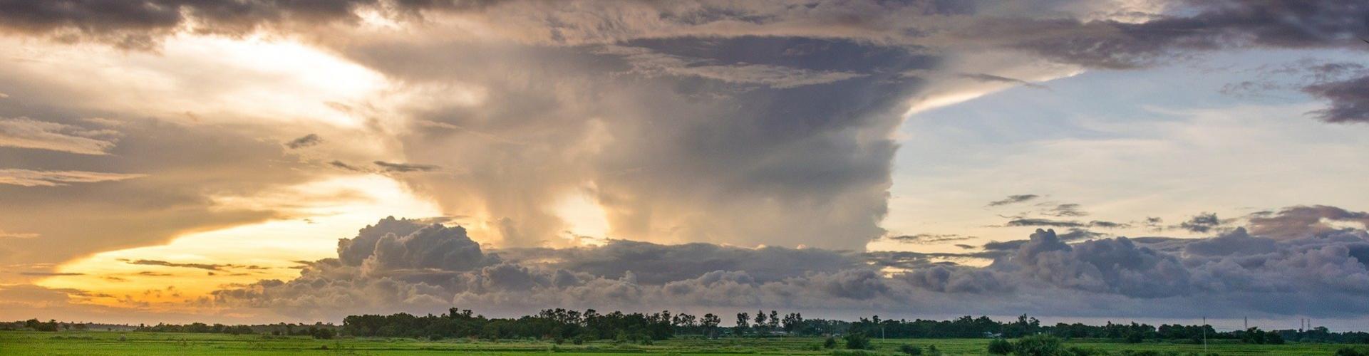 Patrimoine & Environnement